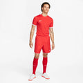 Camiseta Nike