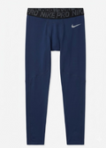 Nike Pro Tights