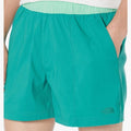 M Class V Pull The North Face