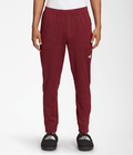 Pants Jogger - Hombre - The North Face